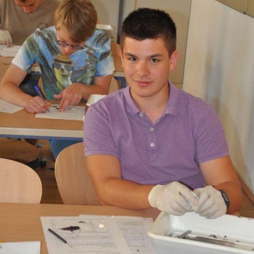 Die Nachwuchsbiologen bei der Arbeit