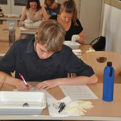 Praktische und schriftliche Aufgaben