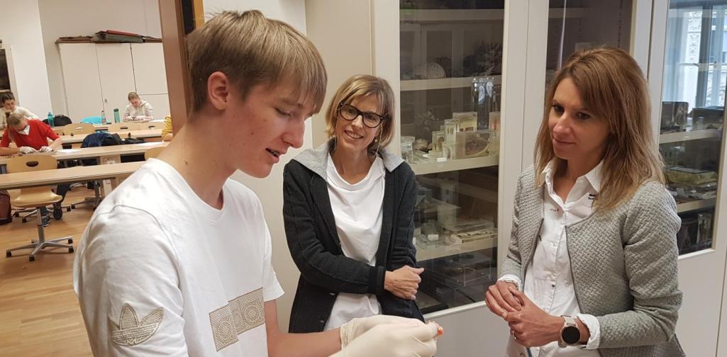 Schüler erklärt Lehrerinnen die Gelenksschäden am Hühnerbein.