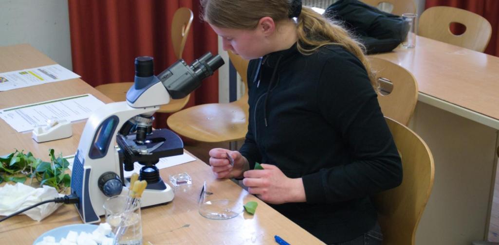 Lösung praktischer Aufgaben